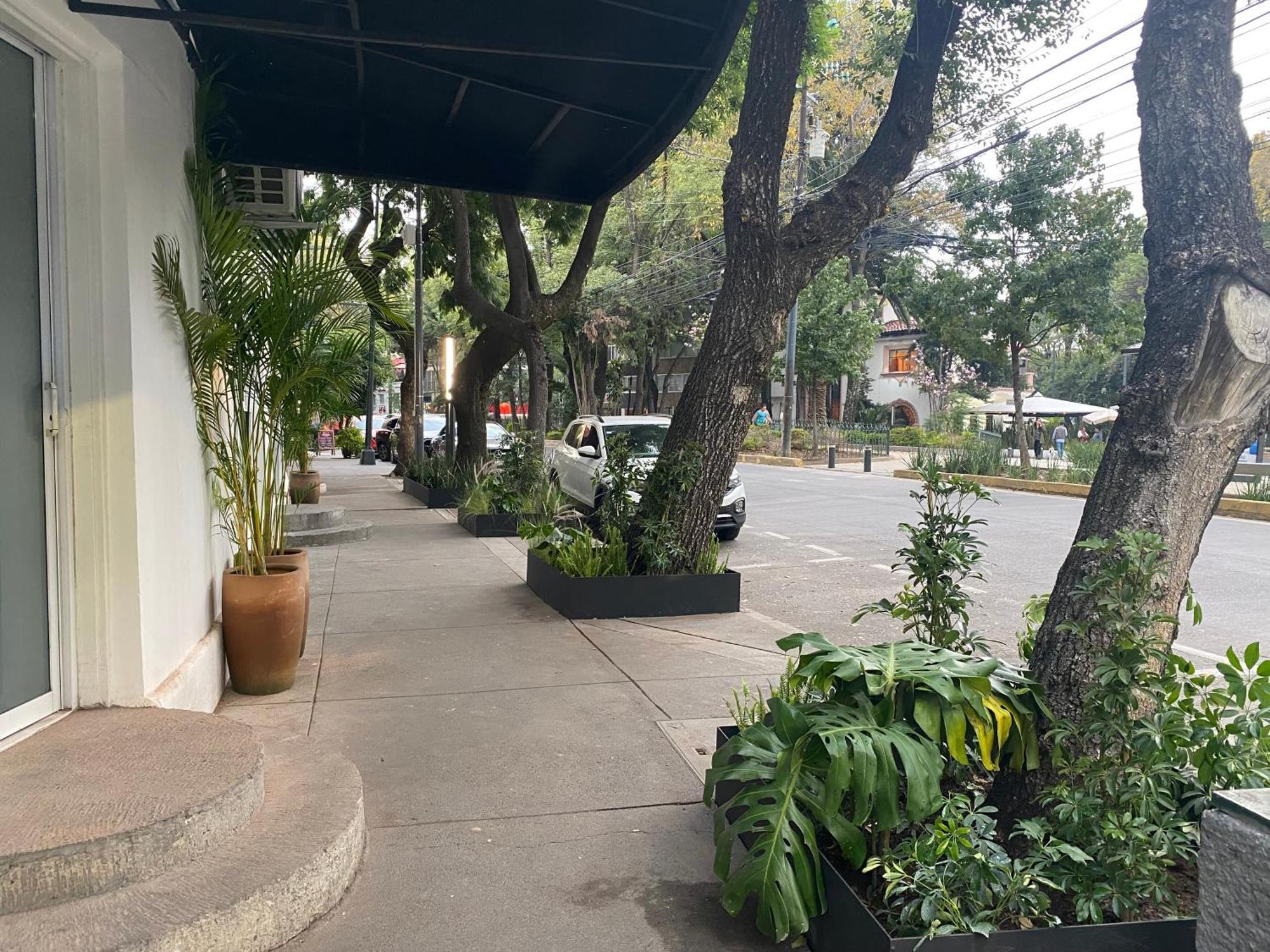 Casa Corp Boutique Suites In Condesa Mexico City Ngoại thất bức ảnh